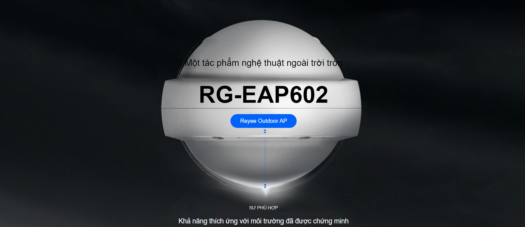 Bộ phát Wi-Fi ngoài trời RG-EAP602